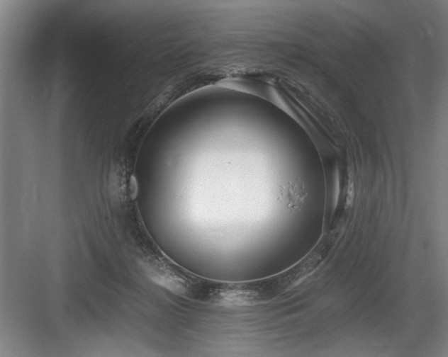 X0000084010268200702161209