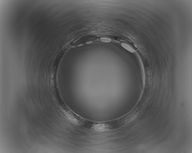 X0000084010269200702161209