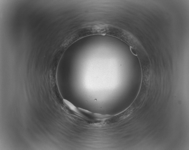 X0000084010270200702161209