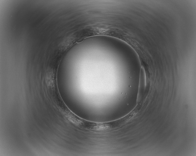 X0000084010274200702161209