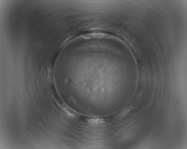X0000084010281200702161209