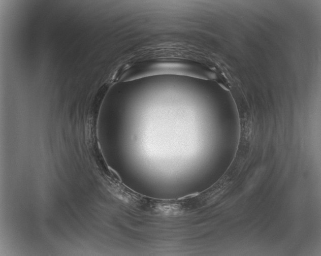 X0000084010283200702161209