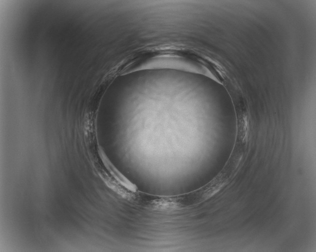X0000084010284200702161210
