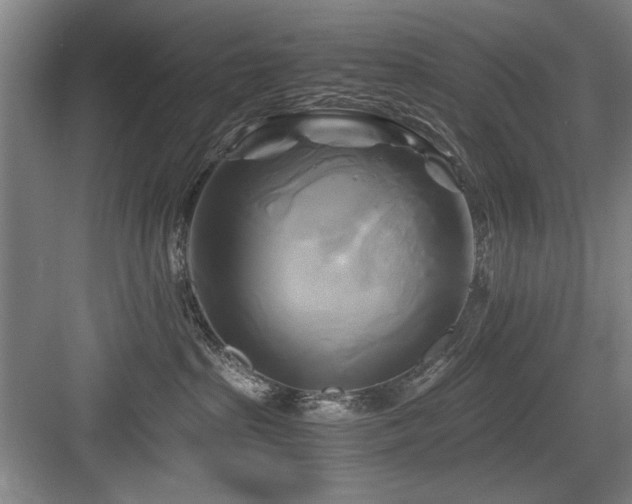 X0000084010285200702161210