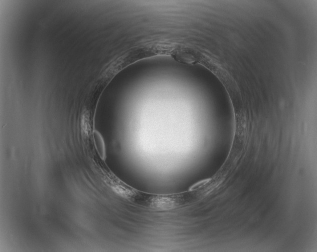 X0000084010287200702161210