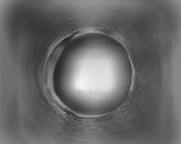 X0000084010289200702161209