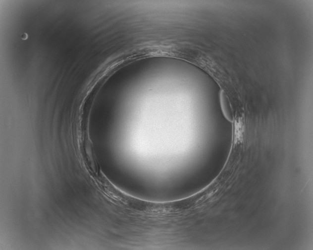 X0000084010291200702161209