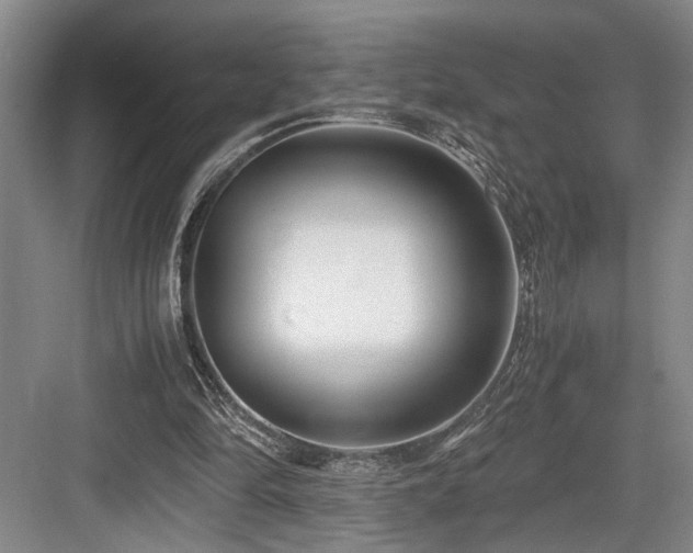 X0000084010294200702161209