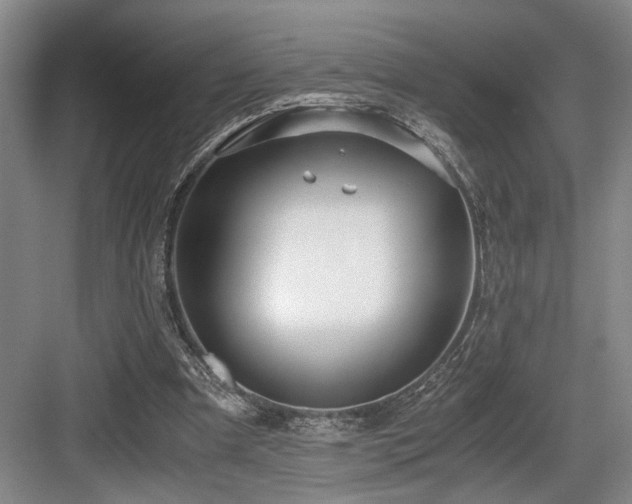 X0000084010297200702161209