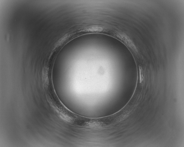 X0000084010300200702161209