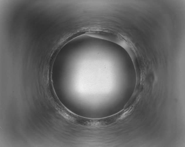 X0000084010301200702161209