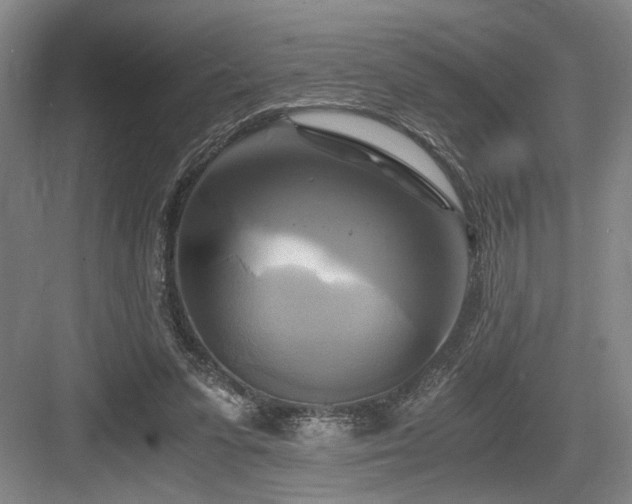 X0000084010303200702161209