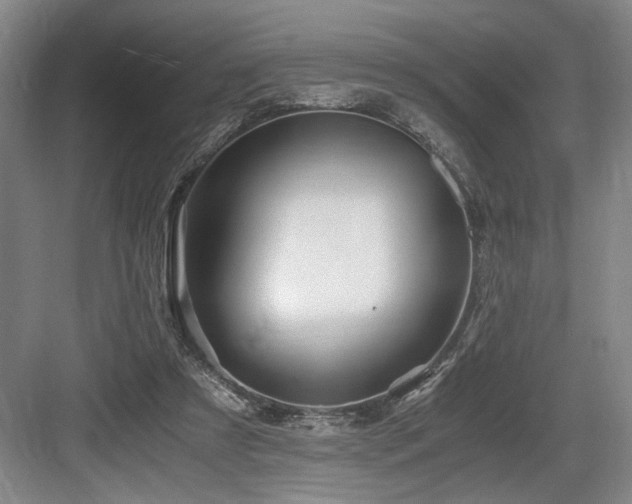 X0000084010305200702161208