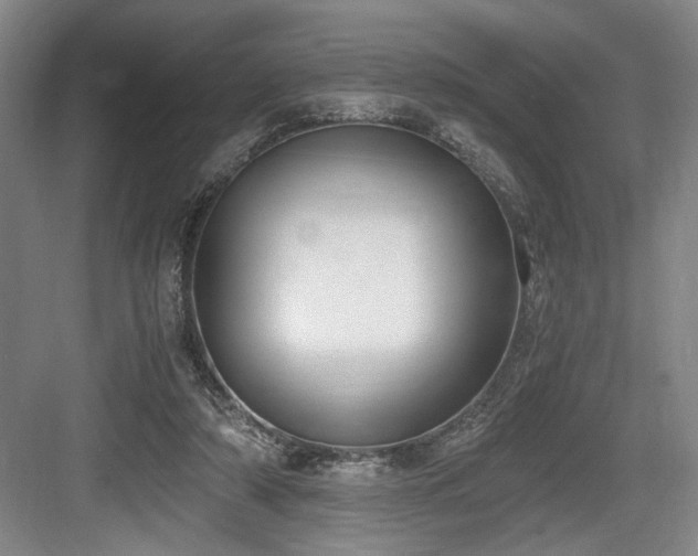 X0000084010306200702161208