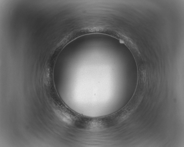 X0000084010308200702161208