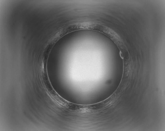 X0000084010310200702161208