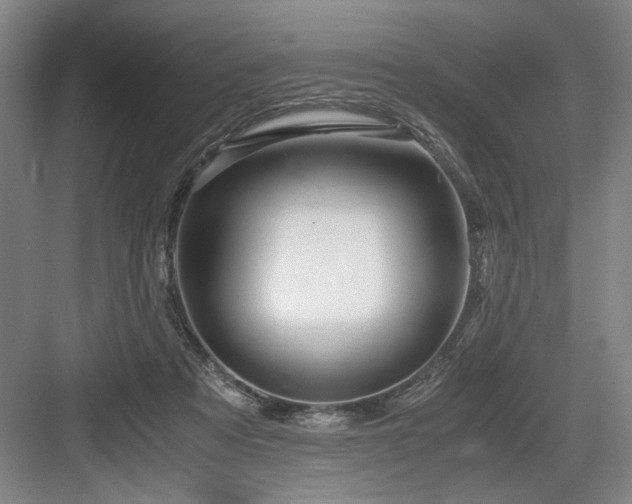 X0000084010313200702161208