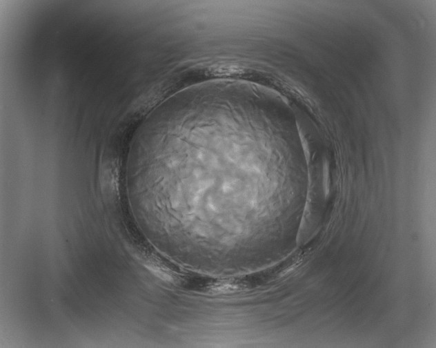 X0000084010315200702161208