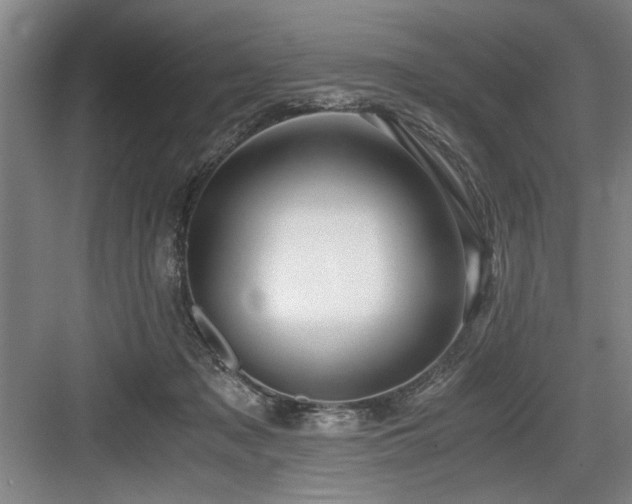 X0000084010317200702161208