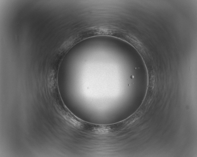 X0000084010318200702161208