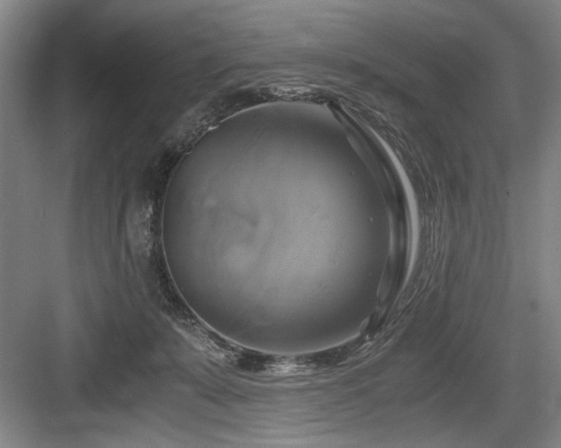 X0000084010319200702161208