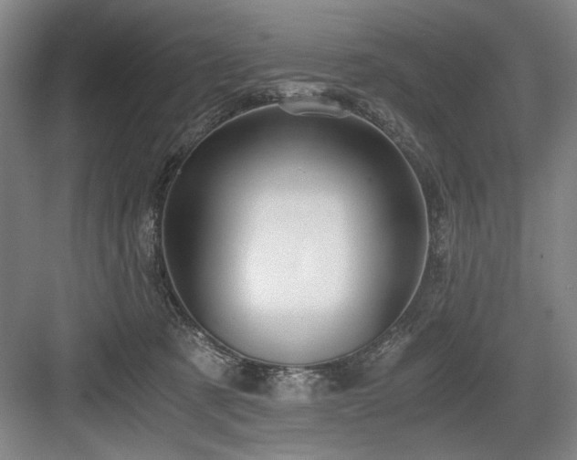 X0000084010321200702161208