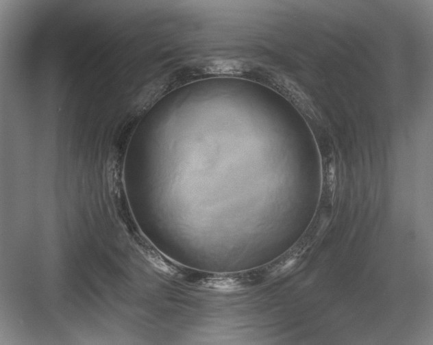 X0000084010322200702161208
