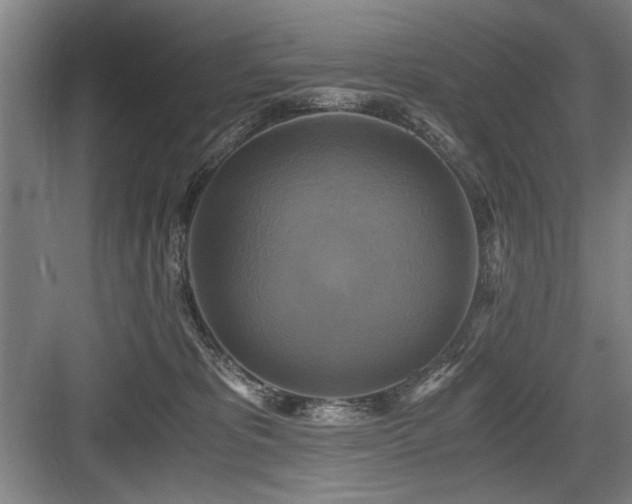 X0000084010325200702161208