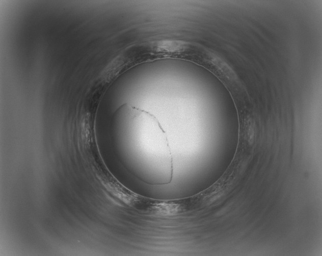 X0000084010328200702161208