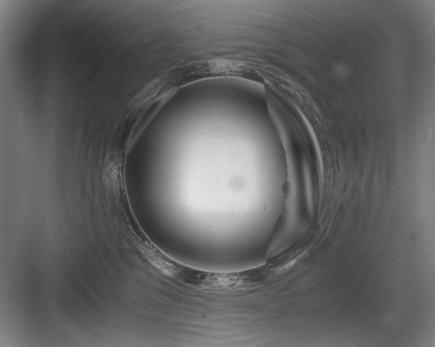 X0000084010329200702161208