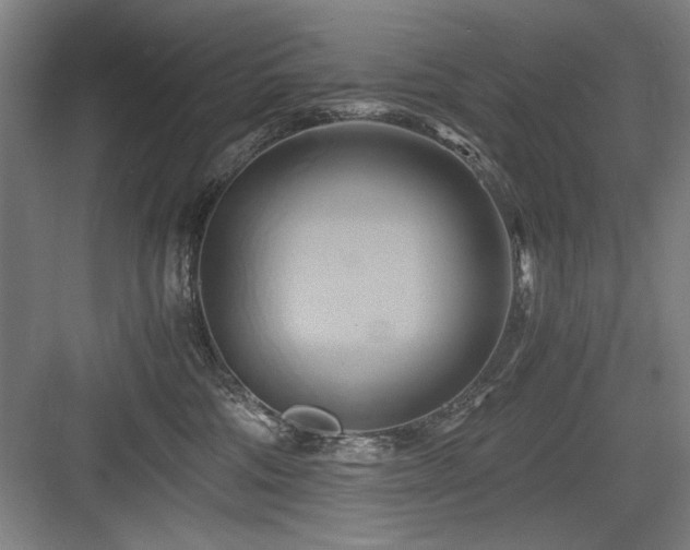 X0000084010330200702161208