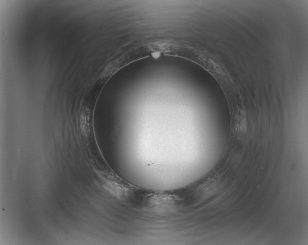 X0000084010332200702161208