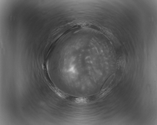 X0000084010335200702161208