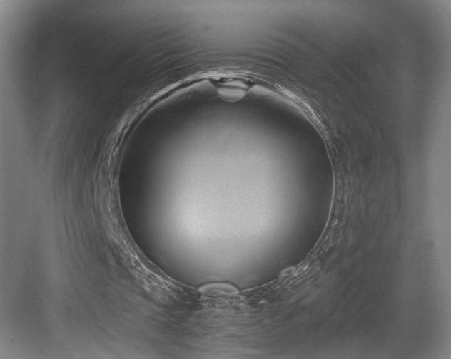 X0000084010337200702161207