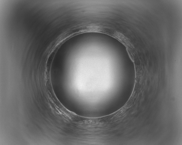 X0000084010338200702161207