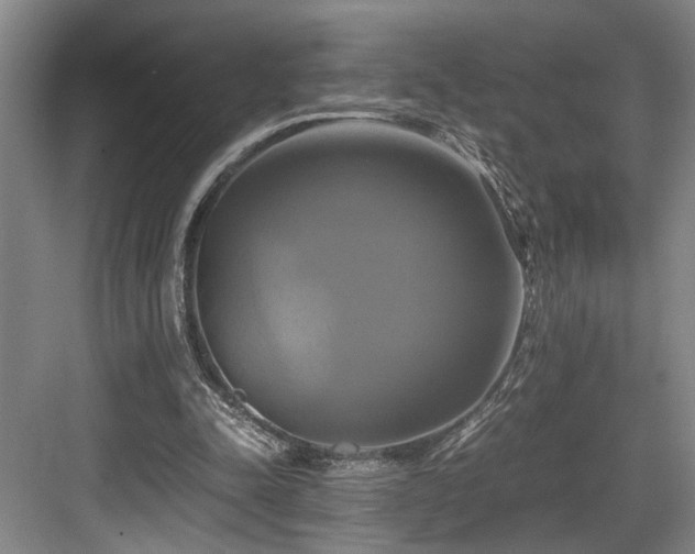 X0000084010342200702161207