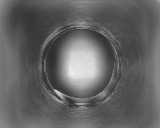 X0000084010344200702161207