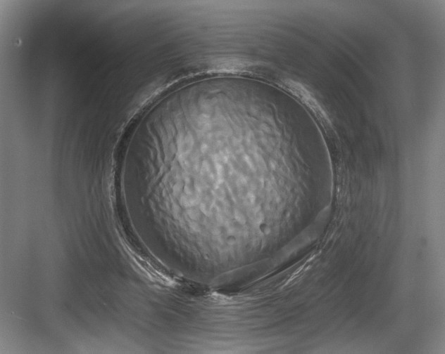 X0000084010346200702161207