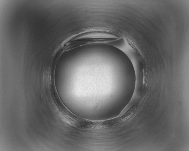 X0000084010348200702161207