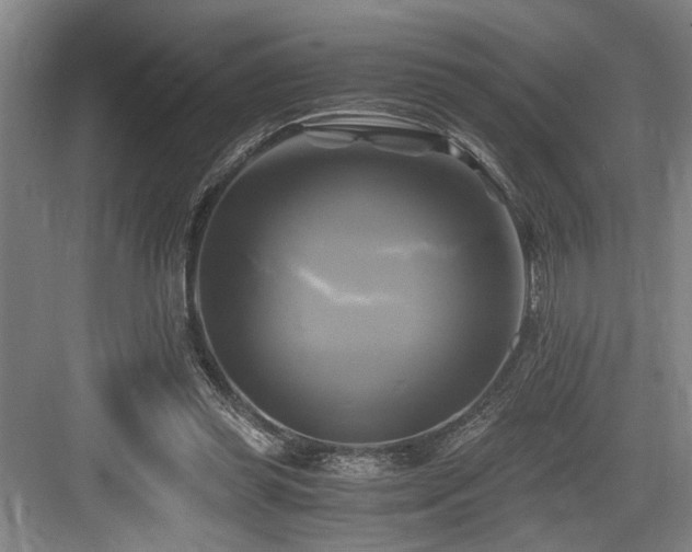 X0000084010349200702161207