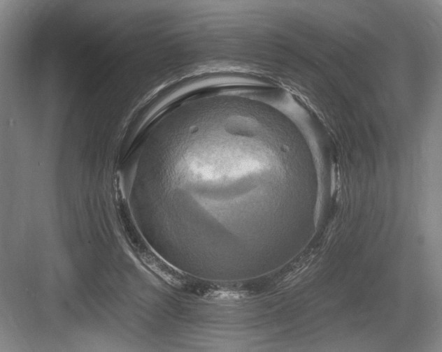 X0000084010352200702161207