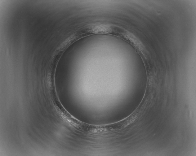 X0000084010353200702161207
