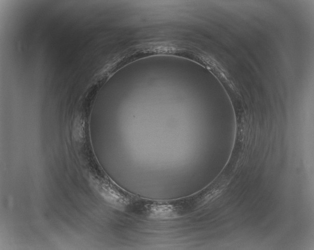 X0000084010355200702161207