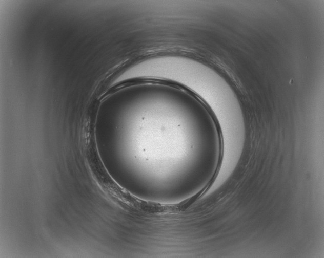 X0000084010356200702161207