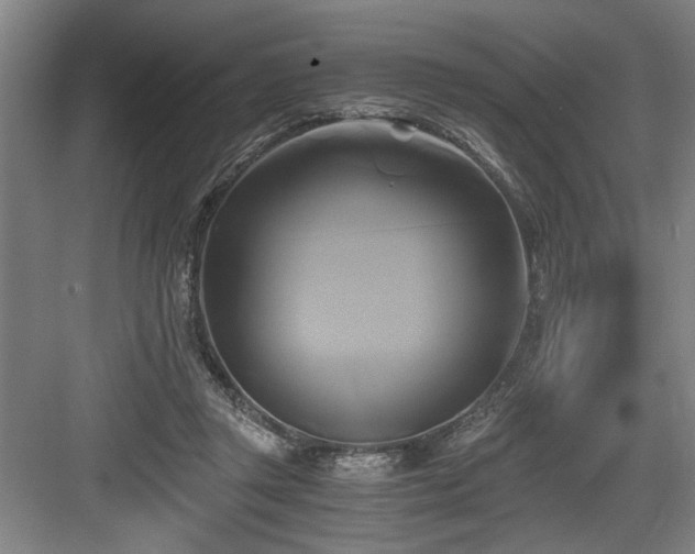 X0000084010357200702161207