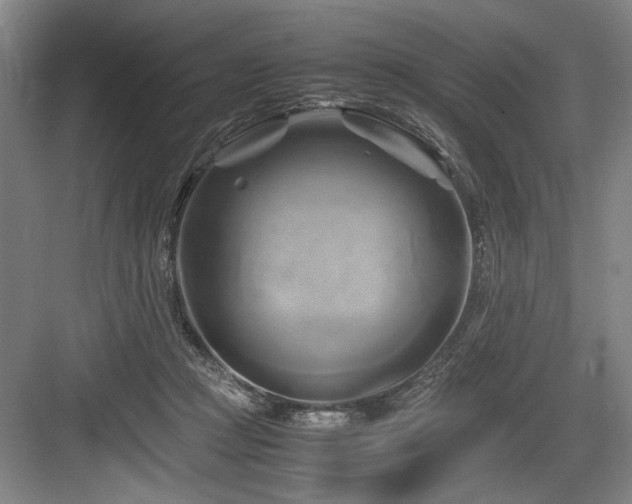 X0000084010361200702161207