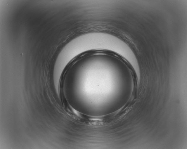 X0000084010362200702161207
