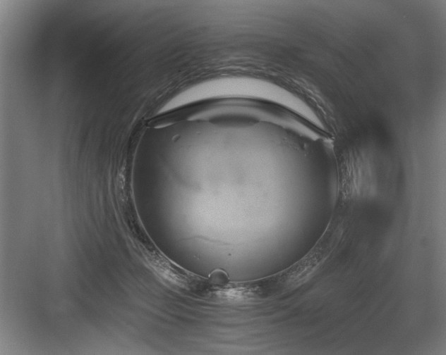 X0000084010365200702161208