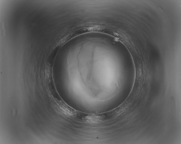 X0000084010367200702161208