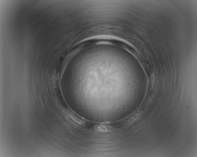 X0000084010372200702161208